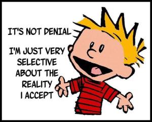 Calvin-Hobbes-Its-Not-Denial-poster